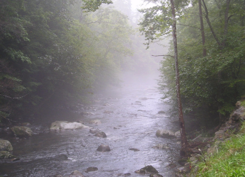 Thunderstorm Forest Sounds Relaxing Heavy Rain 2 Hours